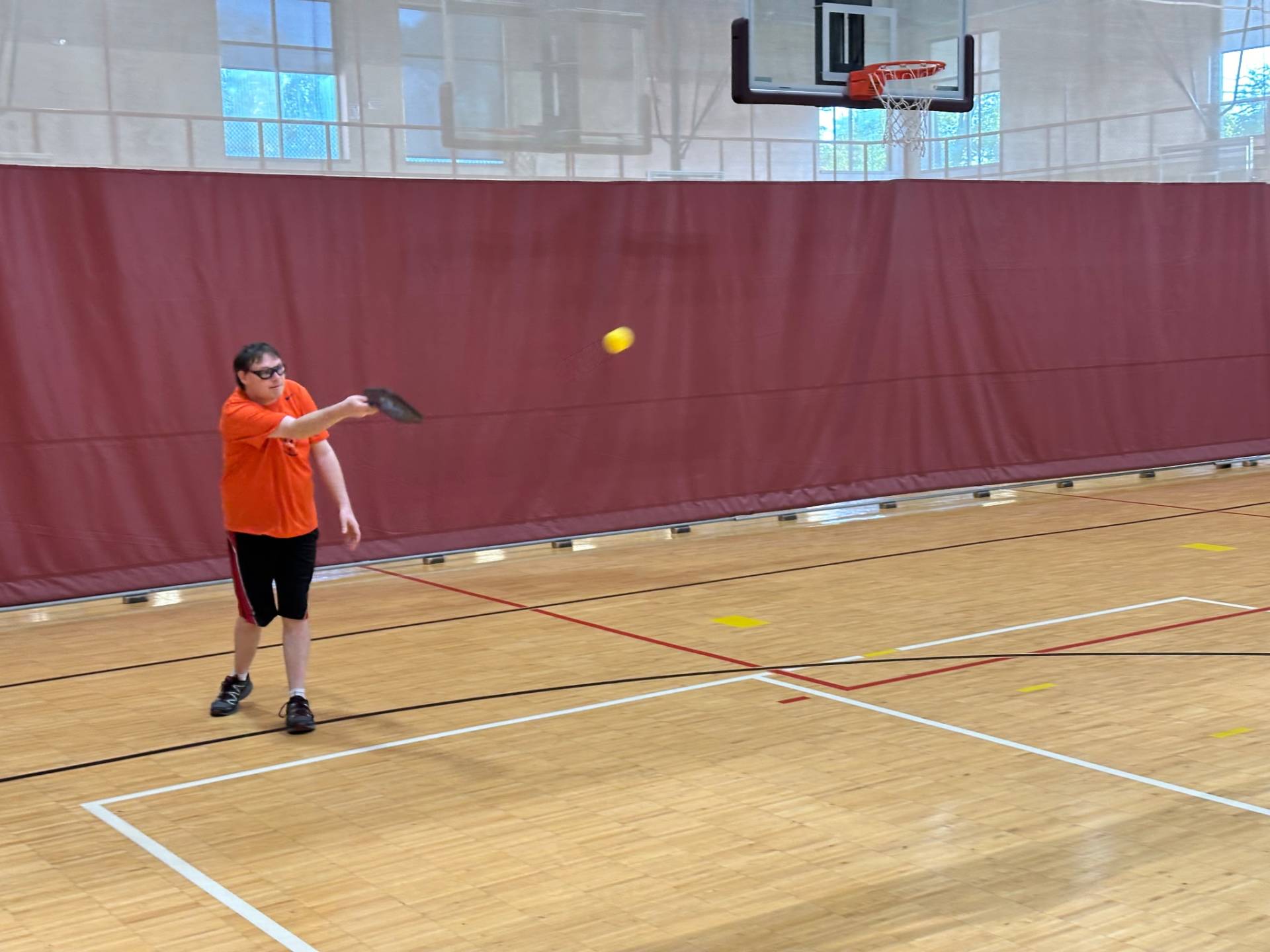 Pickle_ball